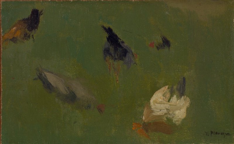 1908 - Galline